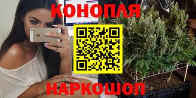 молекула духа Лесосибирск