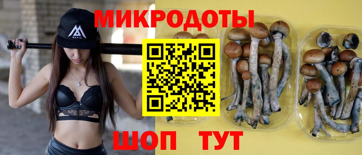 Псилоцибиновые грибы мицелий  Вход с VPN  Псилоцибиновые грибы мицелий  Домодедово 