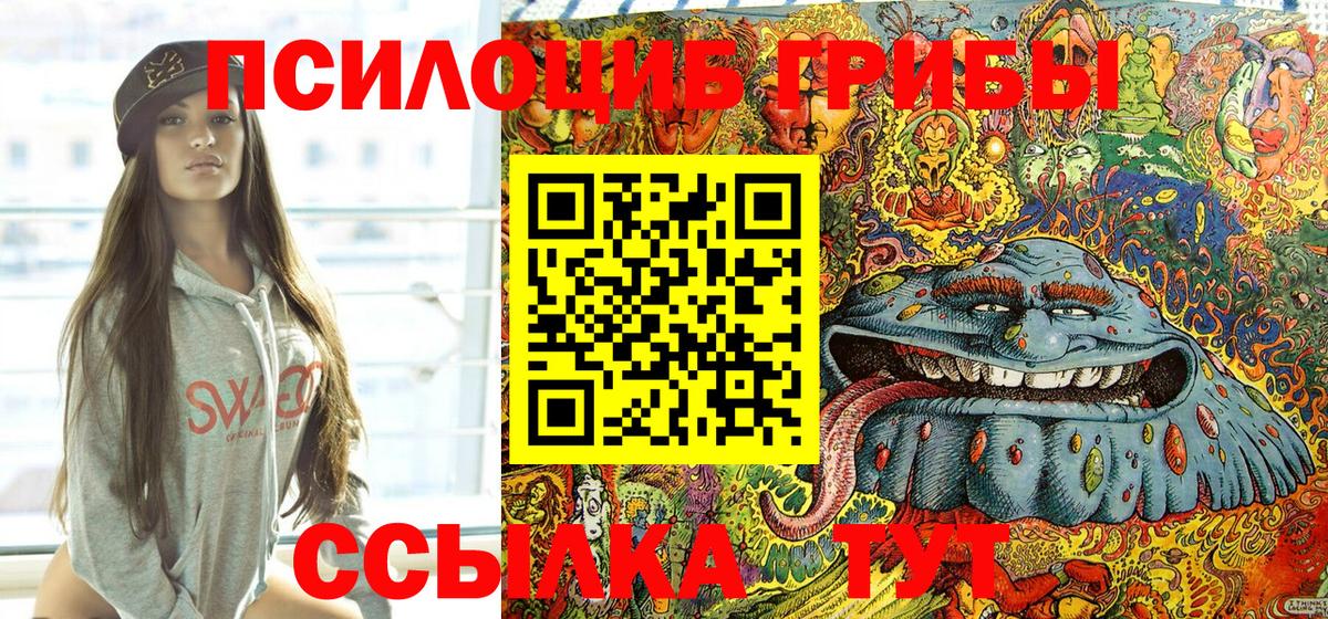 Псилоцибиновые грибы прущие грибы Домодедово
